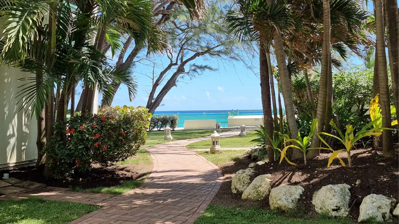 Blue Orchids Beach Hotel photo 2