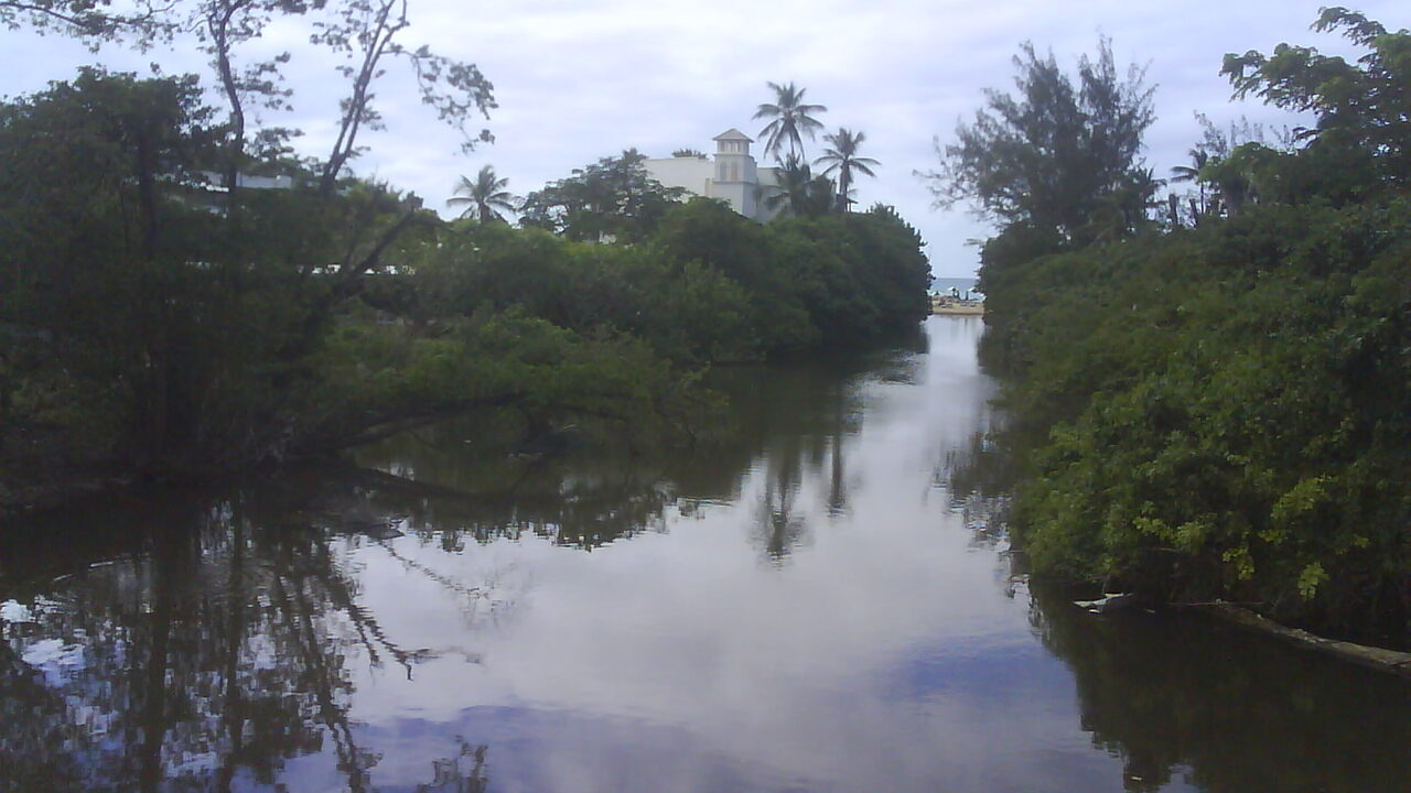 The Tides Barbados photo 3