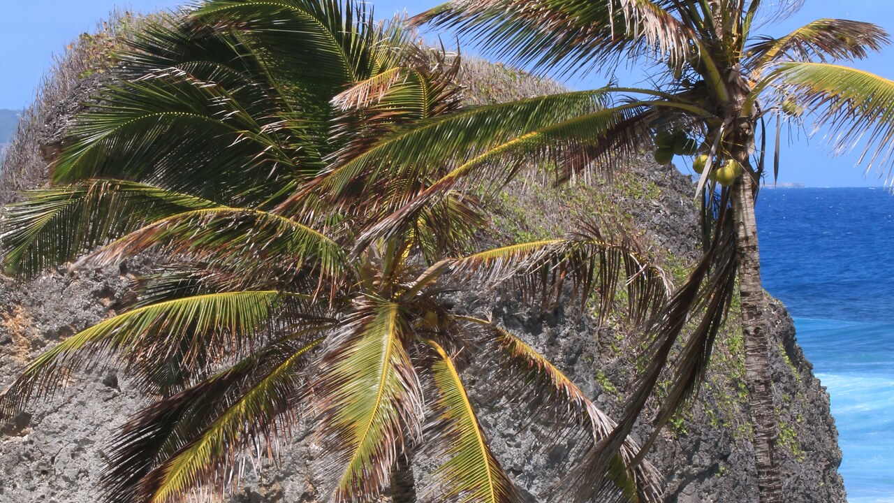 Bathsheba Park photo 3