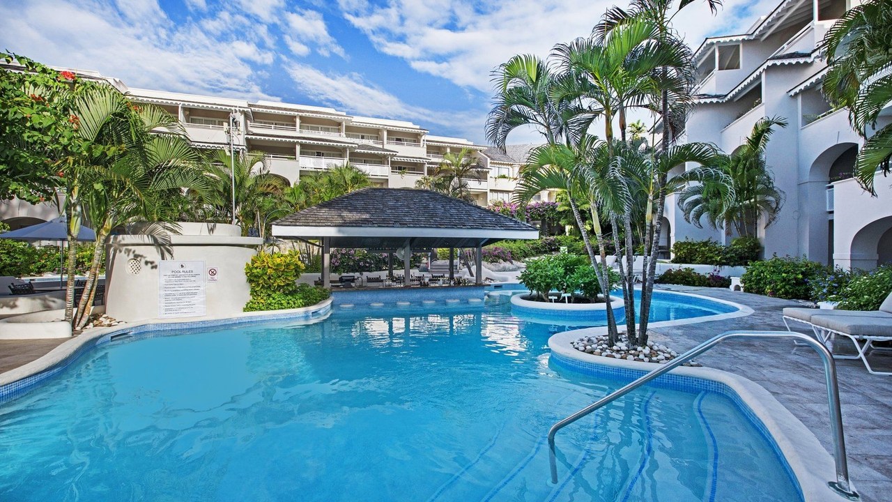 Bougainvillea Barbados photo 3
