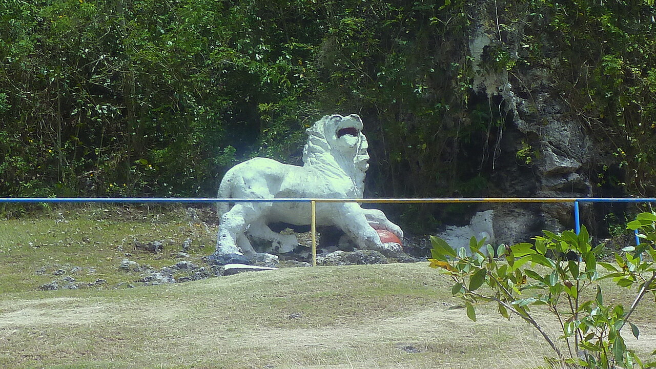 The Lion At Gun Hill photo 2