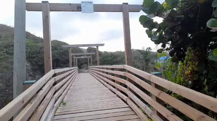 Joes River Bridge photo 2