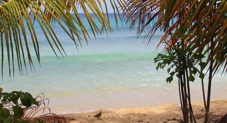 Smitons Bay Beach photo 2