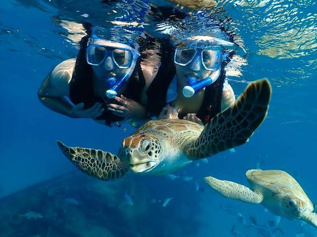 Carlisle Bay Fun Tours photo 3